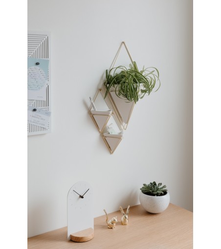 UMBRA doniczka ścienna TRIGG S 2 szt. - biały, mosiądz