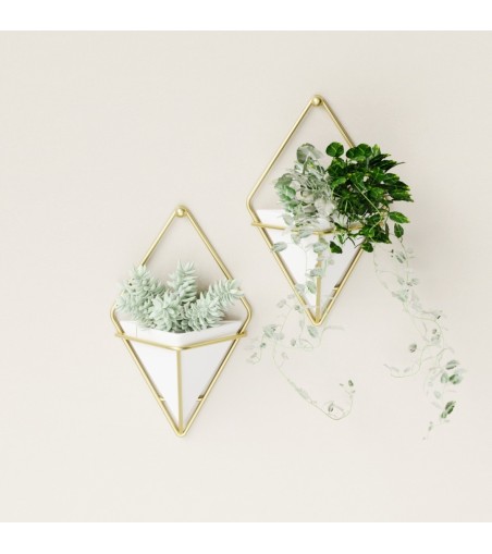 UMBRA doniczka ścienna TRIGG S 2 szt. - biały, mosiądz