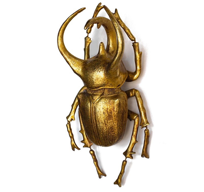 KARE dekoracja ścienna ATLAS BEETLE złota