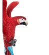 KARE dekoracja PAPUGA ROZŁOŻONE  SKRZYDŁA 52x61 cm czerwona / niebieska