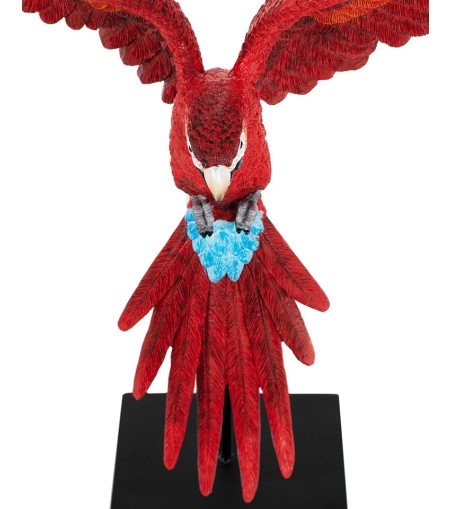 KARE dekoracja PAPUGA ROZŁOŻONE  SKRZYDŁA 52x61 cm czerwona / niebieska