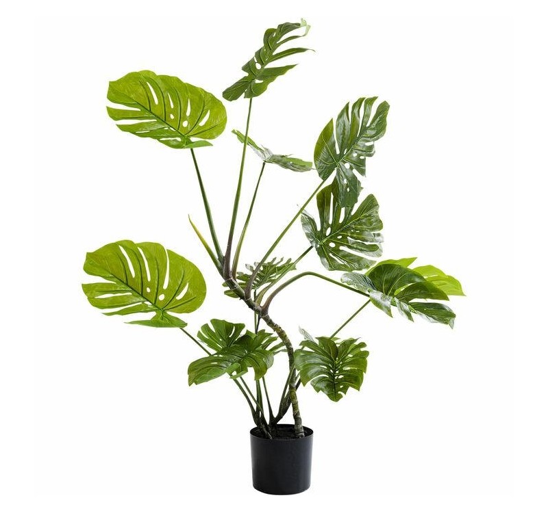 KARE roślina dekoracyjna MONSTERA 110 cm
