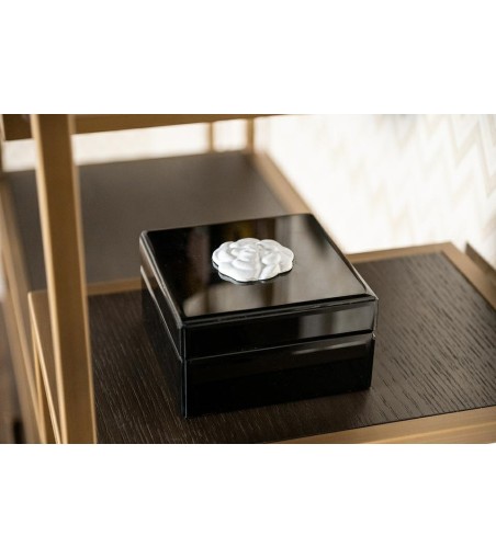 RICHMOND pojemnik na biżuterię VIVY S     czarny