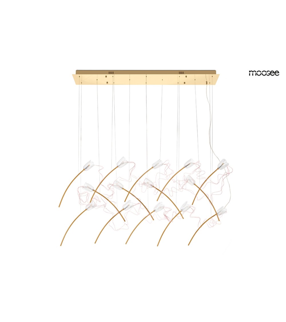 MOOSEE lampa wisząca TULIPPE 14 LINE  złota