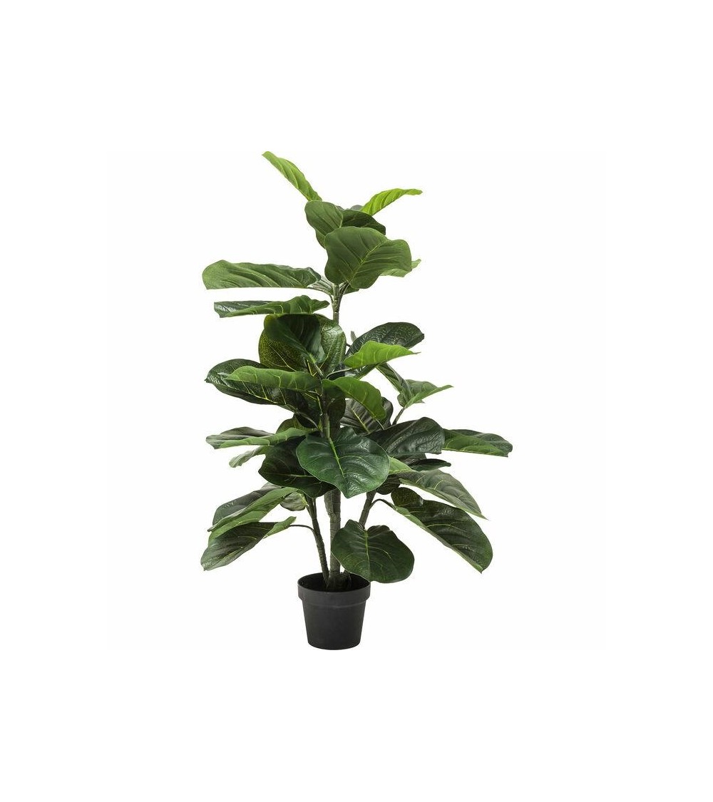 KARE roślina dekoracyjna FIDDLE LEAF 120  cm