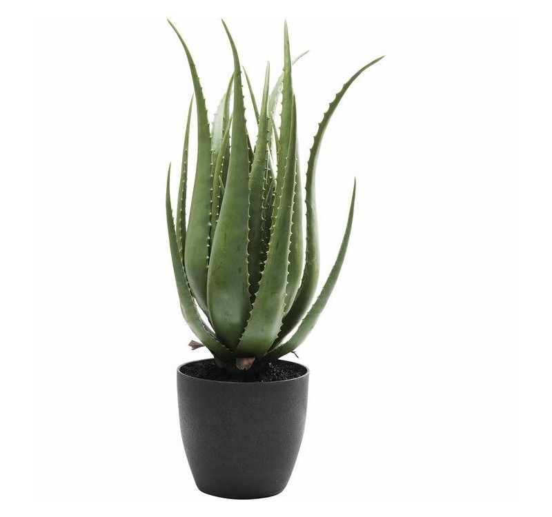 KARE roślina dekoracyjna ALOE 69 cm