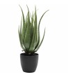 KARE roślina dekoracyjna ALOE 69 cm