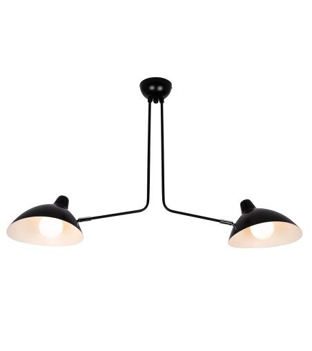 Lampa wisząca RAVEN 2