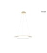 MOOSEE lampa wisząca RING SLIM 60 złota