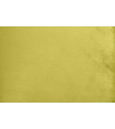 Krzesło DIEGO jasnozielone