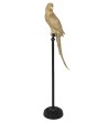 KARE dekoracja stojąca PARROT 116 cm złota