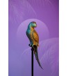 KARE dekoracja stojąca PARROT 116 cm złota