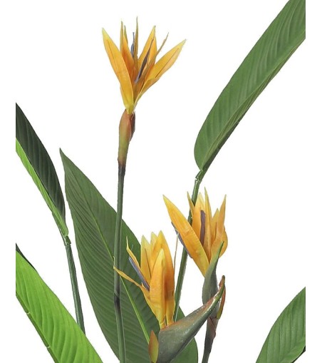 KARE roślina dekoracyjna PARADISE         FLOWERS 190 cm