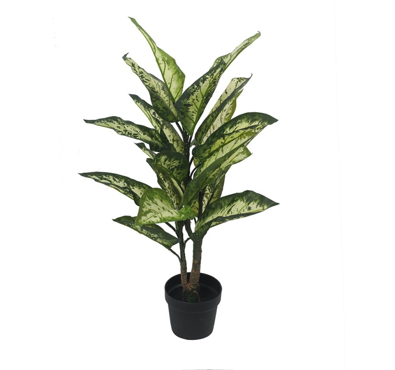 KARE roślina dekoracyjna DIFENBACHIA 100  cm