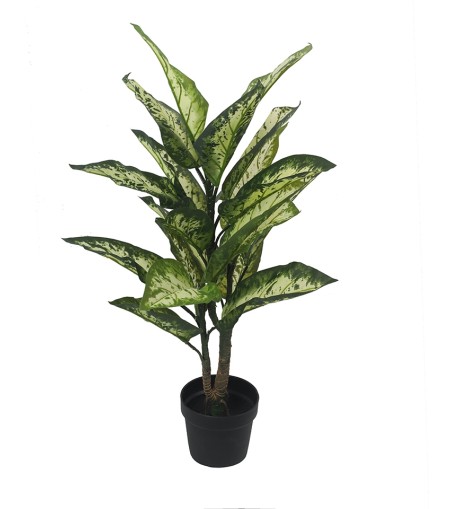 KARE roślina dekoracyjna DIFENBACHIA 100  cm