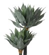KARE roślina dekoracyjna AGAVE 120 cm