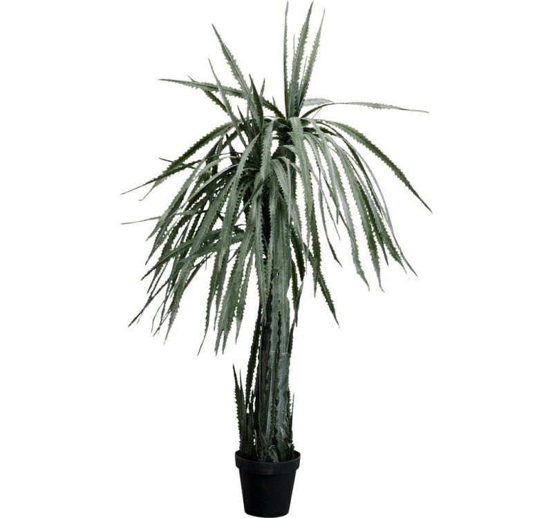 KARE roślina dekoracyjna DRAGON TREE 155  cm