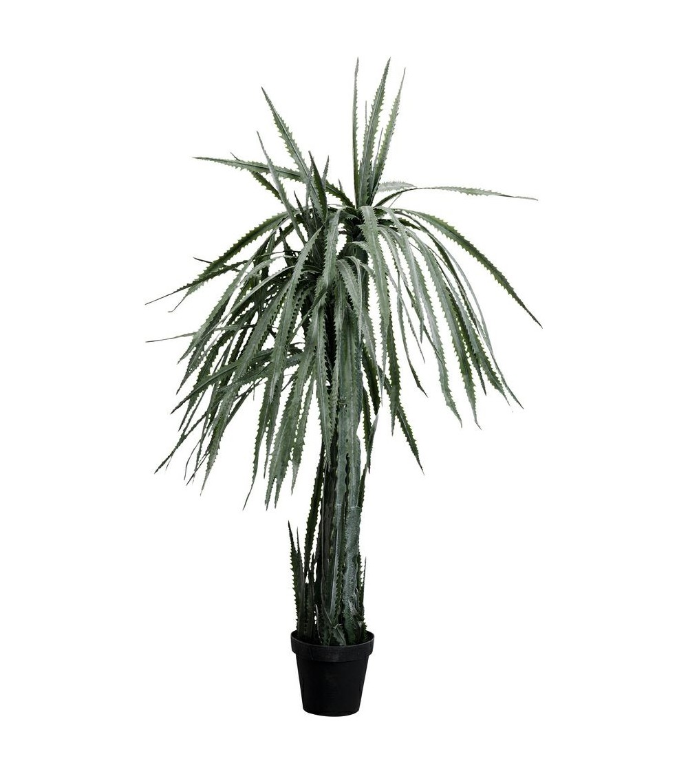 KARE roślina dekoracyjna DRAGON TREE 155  cm