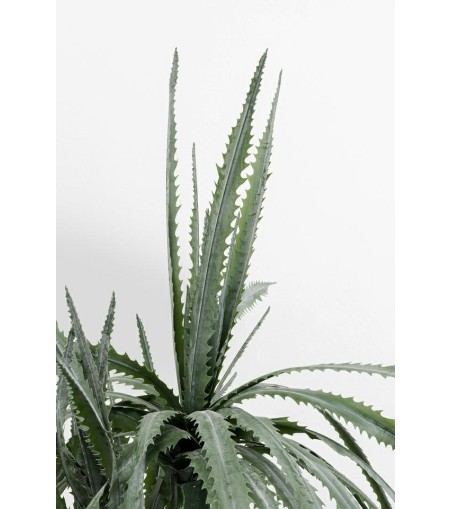 KARE roślina dekoracyjna DRAGON TREE 155  cm