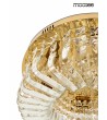 MOOSEE lampa sufitowa / plafon BALUNA 80  złota