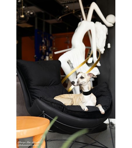 Fotel OTILIA STAND VELVET czarny